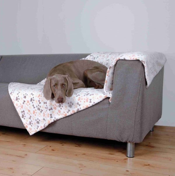 Miniatyrbild 1 av 4: TRIXIE Decke Lingo Hund Polyester Beige, Vit