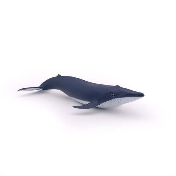 Papo Blue whale calf