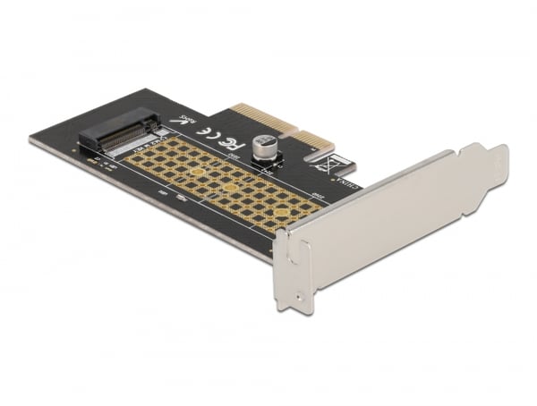 DeLOCK 90047 nätverkskort/adapters Intern M.2