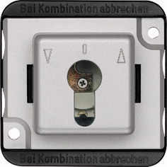 Merten 318760 kontaktplade & kontakthætte Sort, Sølv