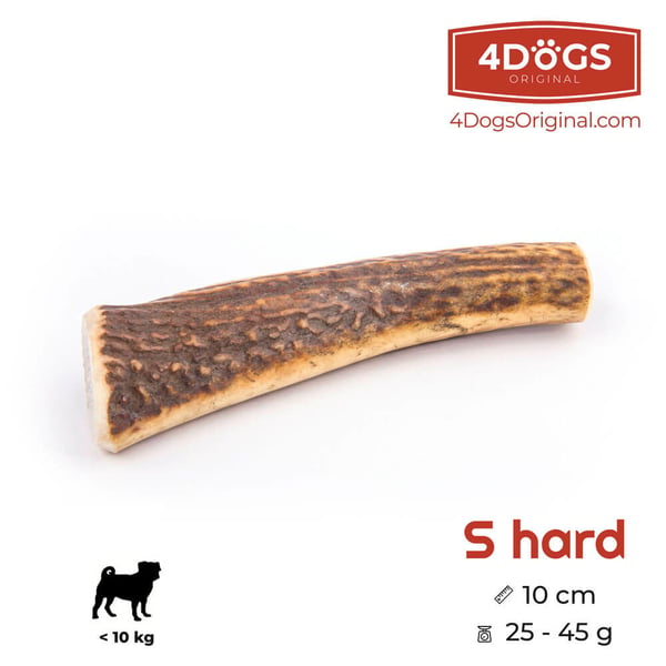 Pikkukuva 2 / 3: 4DOGS R10