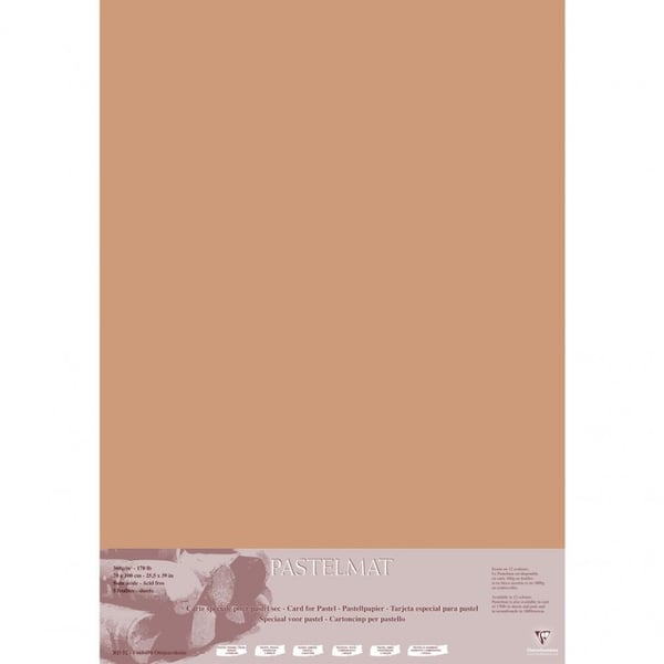 Miniatyrbillede 2 af 2: Clairefontaine PastelMat Kunstpapir 5 ark