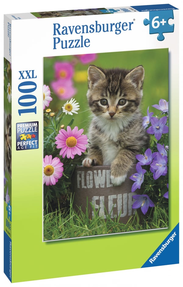 Ravensburger 4005556108473