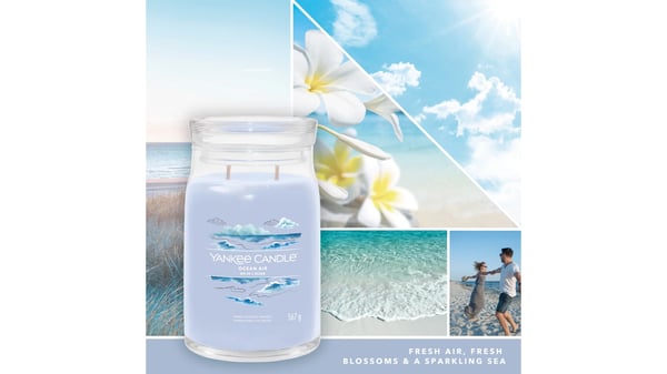 Yankee Candle Signature vokslys Cylinder Ravfarvet, Jasmin, Sandeltræ Blå 1 stk