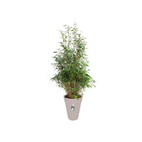 elho loft urban round high 35 Ulkona Istutusruukku Vapaasti seisova Polypropeeni (PP) Harmaa