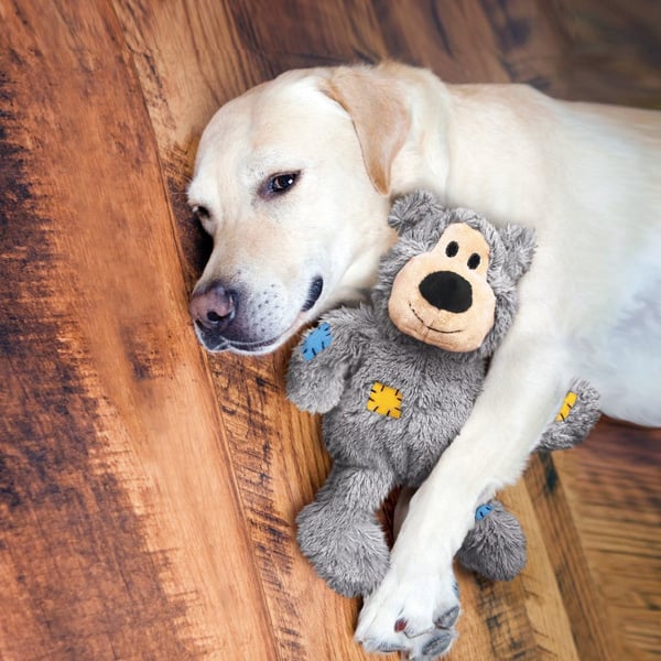 Miniatyrbild 2 av 2: KONG NKRXE leksak för hund och katt