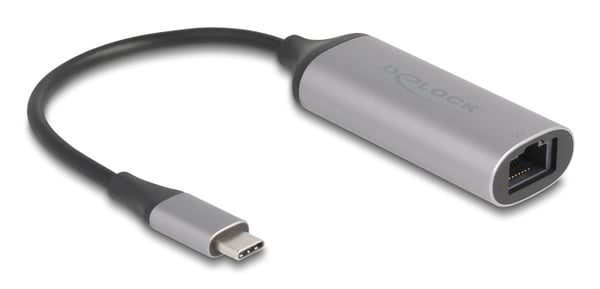 DeLOCK 81570 kabel kønsskifter USB Type-C RJ-45 Anthracit