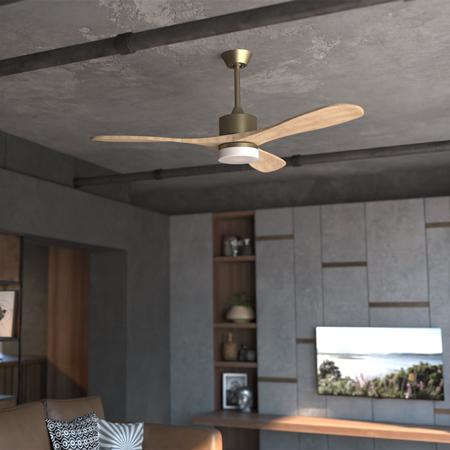 Cecotec 05983 hushållsfläkt Guld