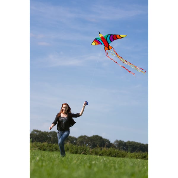 Miniatyrbillede 6 af 6: HQ Kites & Designs USA Tropical Bird Drage med en line