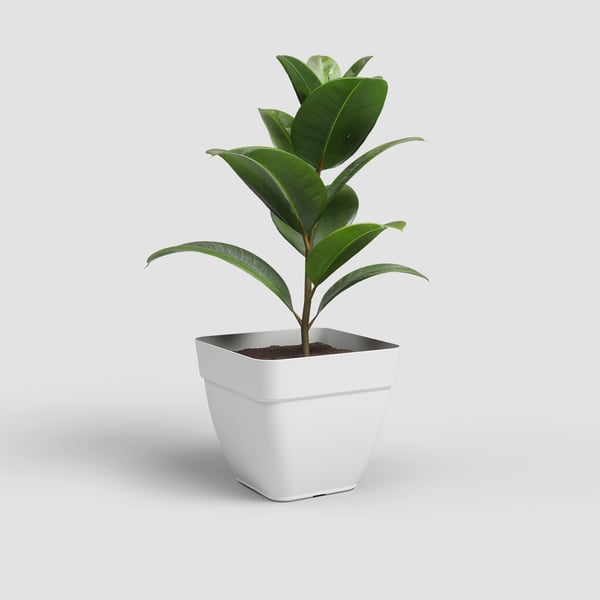 Artevasi Capri Campana Square Pot Valkoinen 2 kpl