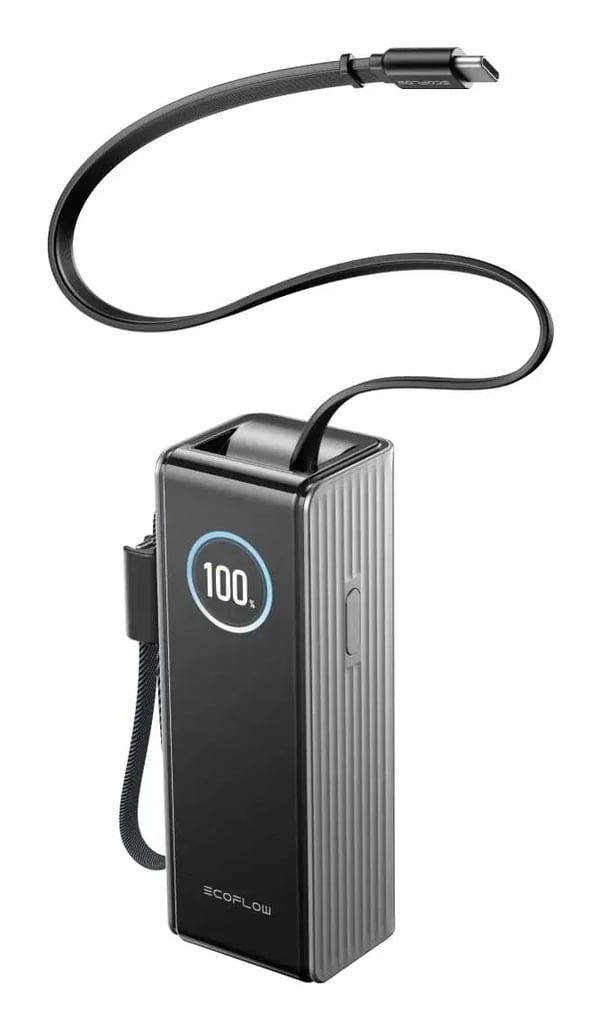 EcoFlow EF-RAPID25K100W-S-EU powerbank 25000 mAh Sort, Sølv