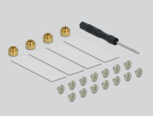 DeLOCK 89044 nätverkskort/adapters Intern M.2