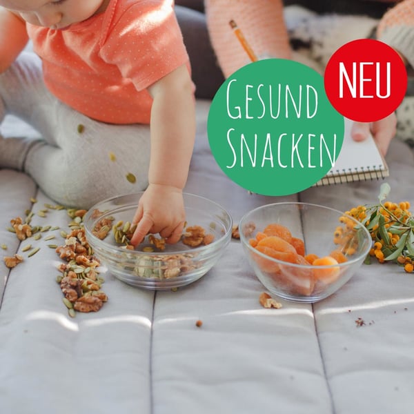 Miniatyrbild 16 av 16: Gastroback Design Natural Plus Svart, Rostfritt stål, Transparent 250 W