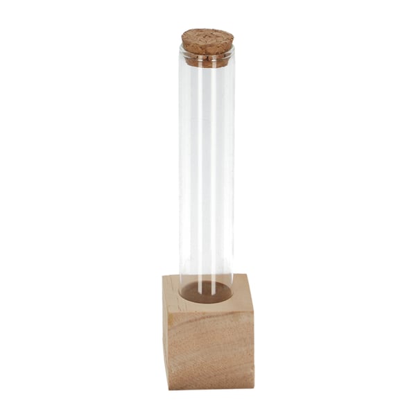 Esschert Design FH020 dekorativ flaske & krukke Transparent, Træ Glas 0,05 L 24 stk