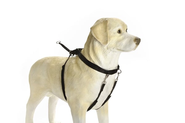 Beeztees 749761 S Sort Nylon Hund Seletøj uden træk