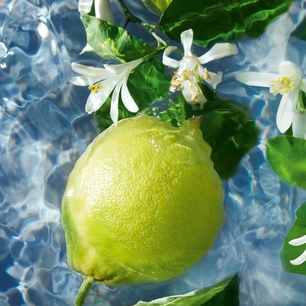 Guerlain Aqua Allegoria - Bergamote Calabria 125 ml Naisten