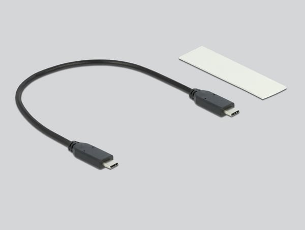 DeLOCK 42001 Hölje för lagringsenheter SSD-inkapsling Silver M.2