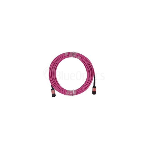 Miniatyrbild 4 av 7: BlueOptics SFP5252FU2MKB InfiniBand och fiberoptisk kabel 2 m MPO Magenta
