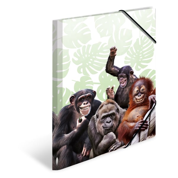 Miniatyrbild 2 av 5: HERMA Monkey gang Polypropylen (PP) Multifärg A3