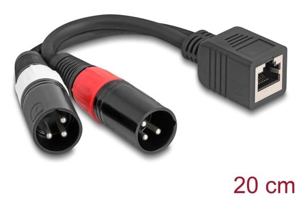 DeLOCK 88179 lydkabel 0,2 m RJ-45 2 x XLR (3-pin) Sort