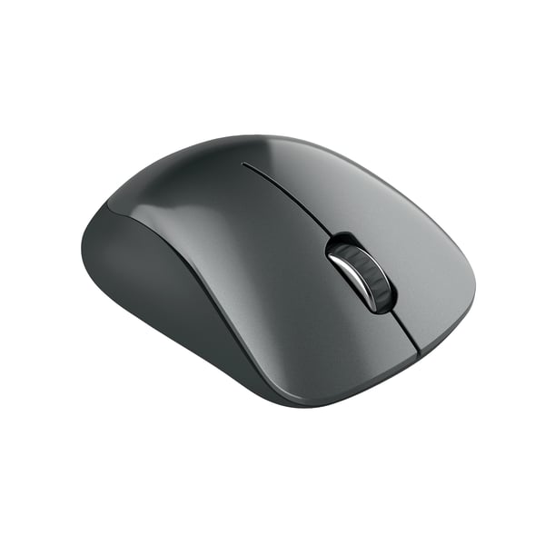 Canyon CNE-CMSW11B mus Højre hånd RF trådløst Optisk 1200 dpi