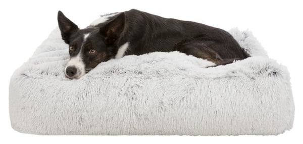 Miniatyrbillede 2 af 8: TRIXIE Harvey Cushion