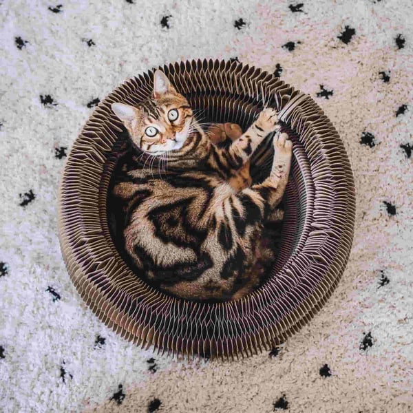 District 70 6562 Bädd för hund och katt Krypin bädd för husdjur
