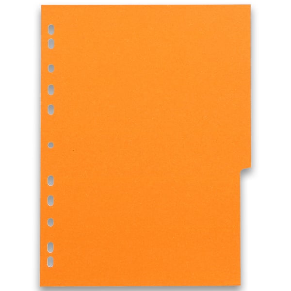 Oxford 400079615 opdeler Papir Forskellige farver 12 stk