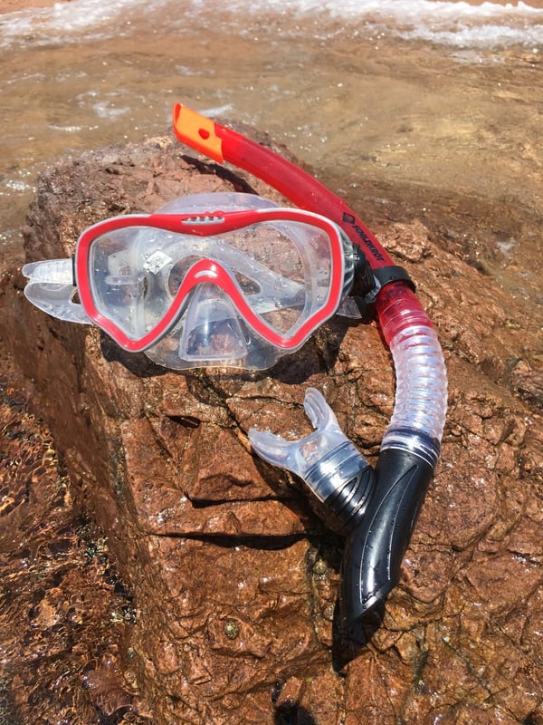 Schildkröt Funsports 940012 dykkemaske Sort, Rød, Transparent Voksen