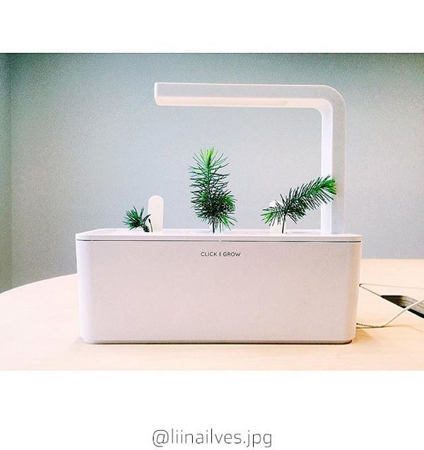 Miniatyrbillede 3 af 4: Click & Grow Experimental 3 stk Genopfyldning