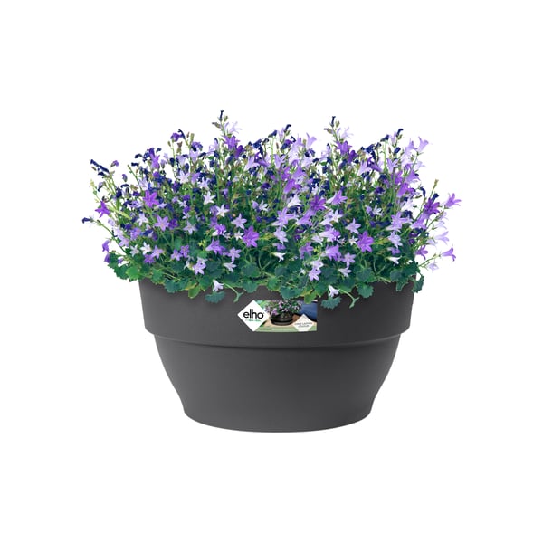 Miniatyrbillede 9 af 11: elho 8711904493530 urtepotte Sort Plast