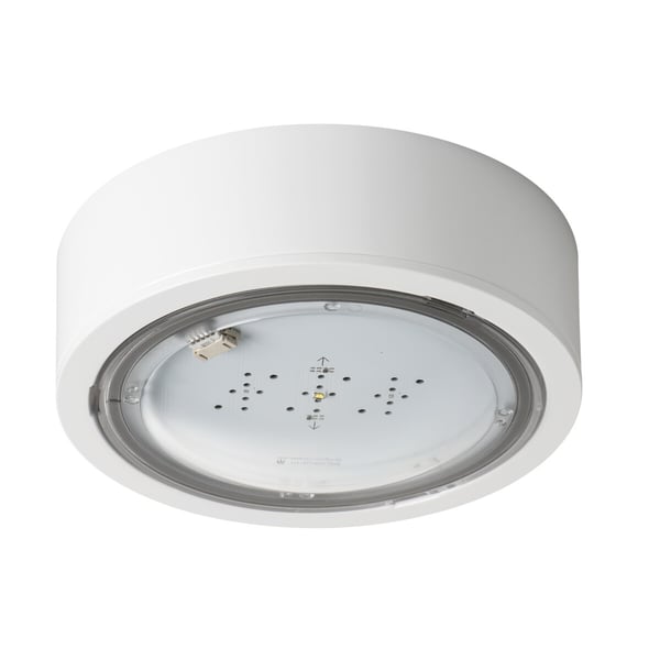 Kanlux S.A. 33812 nødlampe