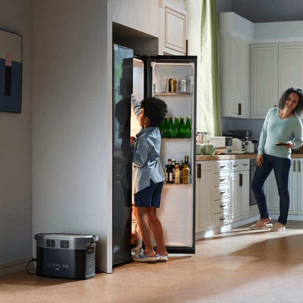 EcoFlow DELTA 2 Max Bærbar energistation Lithium jern fosfat (LiFePO4) 2400 W 23 kg