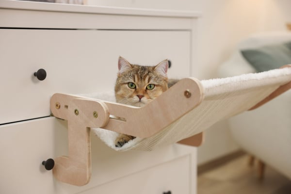 Kerbl Nap Hammock pet bed