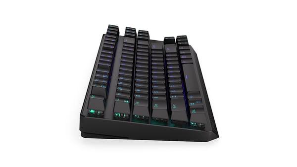 Miniatyrbild 10 av 17: Tangentbord Endorfy Thock TKL Wireless Svart Kailh Black Box (EY5A081)