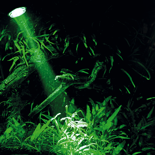 Miniatyrbillede 10 af 18: HOBBY Aquaristik Bubble Air Spot colour & moon LED Vekselstrøm Sort