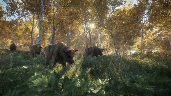 THQ Nordic theHunter : Call of The Wild - 2019 Edition - Game of the Year Edition PC