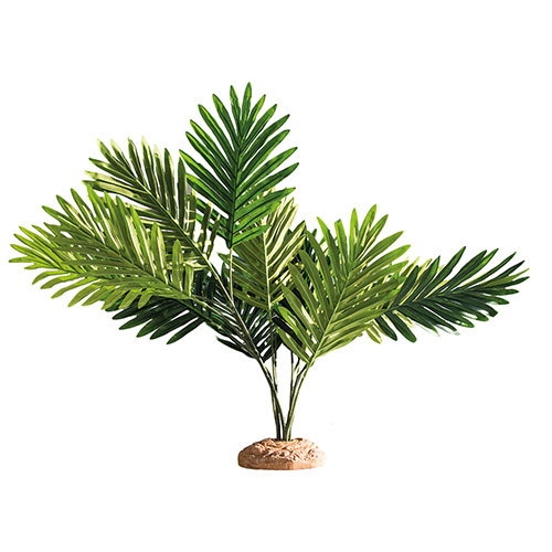 HOBBY Terraristik Palm Växter 1 styck HOBBY Terraristik Palm Växter 1 styck