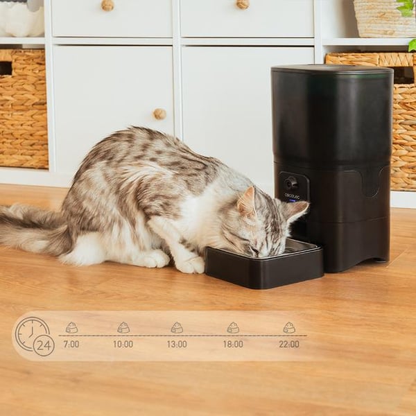 Cecotec PUMPA 6000 vandskål og foderautomat til hund og kat Plast, Rustfrit stål Sort, Blå Universel Automatisk foderautomat til kæledyr