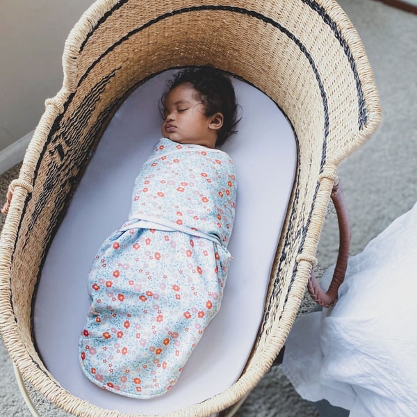 aden + anais Essentials svøb Svøb tæppe Flerfarvet