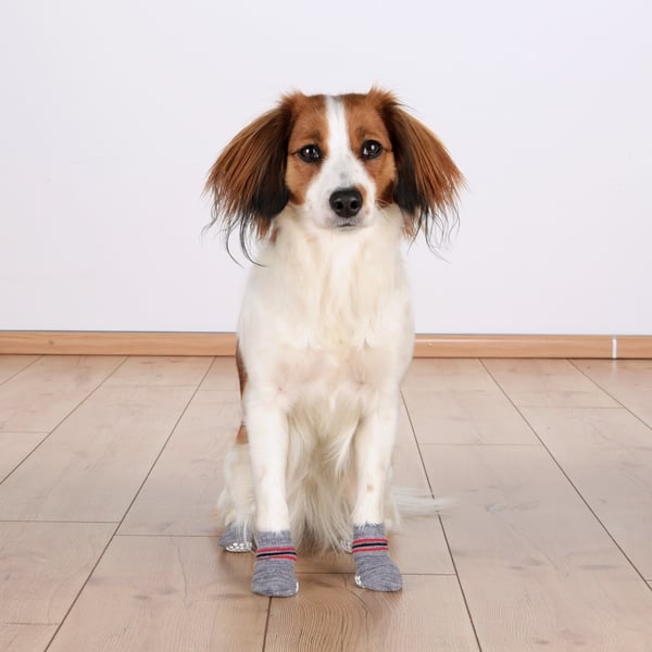 TRIXIE 19504 hundsock