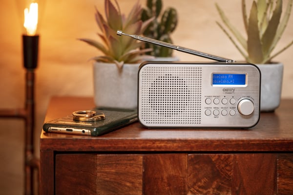 Miniatyrbillede 3 af 9: Camry Premium CR 1179 radio Bærbar Analog & digital Sort, Sølv