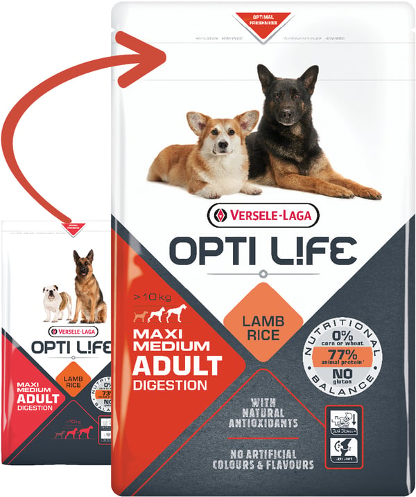 Pikkukuva 2 / 3: Versele-Laga Adult Digestion Medium & Maxi 12,5 kg Aikuinen