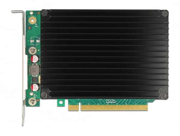 DeLOCK 90054 nätverkskort/adapters Intern M.2