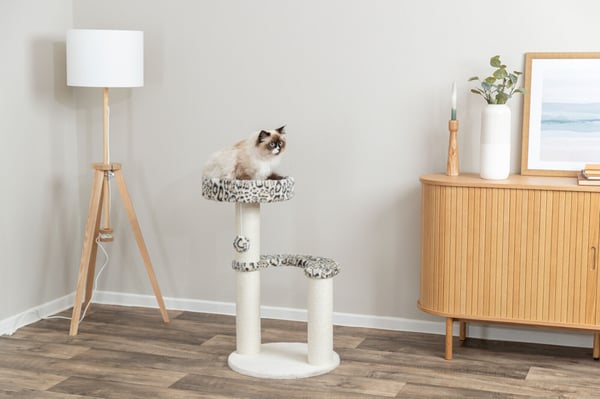 Miniatyrbillede 2 af 3: TRIXIE 48175 katte kradsebræt Kattetræ