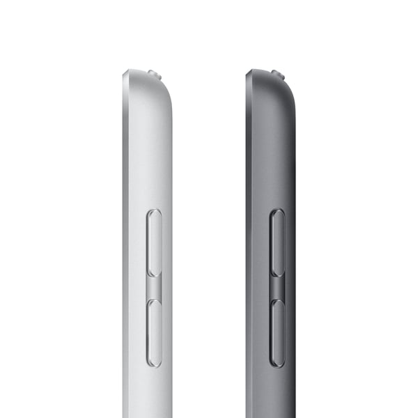 Apple iPad 256 GB 25,9 cm (10.2") 3 GB Wi-Fi 5 (802.11ac) iPadOS 15 Grå