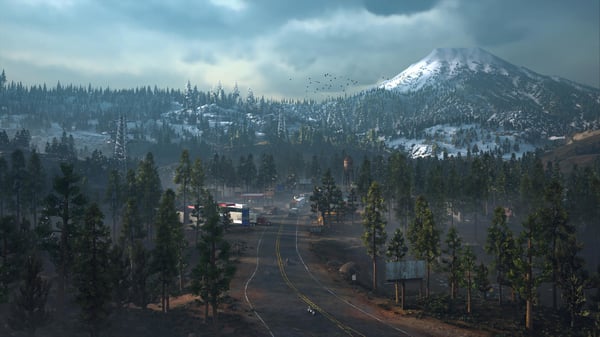 Sony Interactive Entertainment Days Gone Standard PlayStation 4