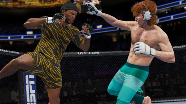 Electronic Arts UFC 4 Standard PlayStation 4
