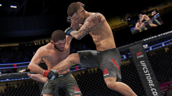 Electronic Arts UFC 4 Standard PlayStation 4
