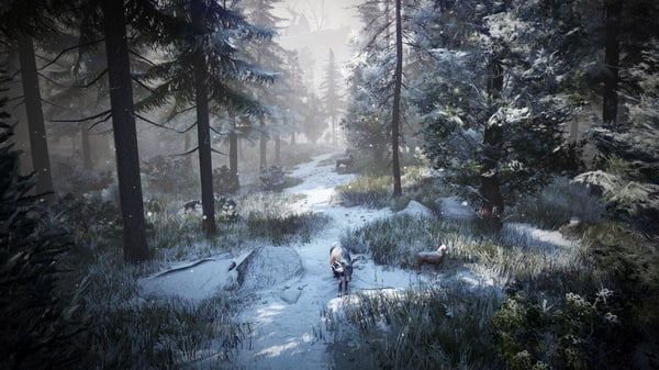 Miniatyrbillede 25 af 34: Pearl Abyss Black Desert - Prestige Edition speciel Tysk, Engelsk, Spansk, Fransk PlayStation 4